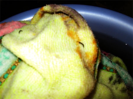 Sinh trung tu khan tam 'Made in China' khong gay nguy hai hinh anh