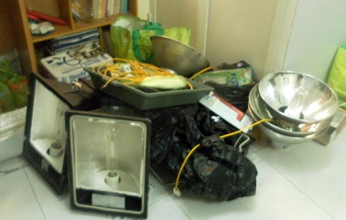 Vật dụng để chăm sóc, chế biến cần sa.