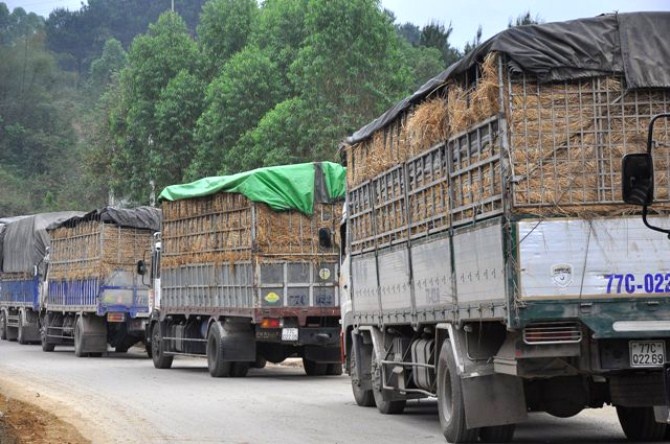 Xe chở dưa may mắn thông quan thì số dưa bị thương lái Trung Quốc trả lại cũng không ít, vì cuống dưa để lâu ngày đã bị héo. Có xe còn bị trả lại hàng tấn.