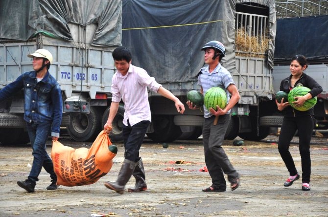 Nhiều tài xế còn bị một số người đe dọa phá xe nếu không cho chúng lên xe hôi dưa.