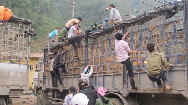 Co moi, xin deu, mot dua o Lang Son hinh anh