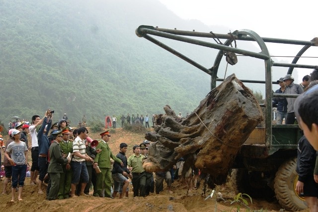 Phat hien them 3 goc sua khung trong vuon quoc gia? hinh anh