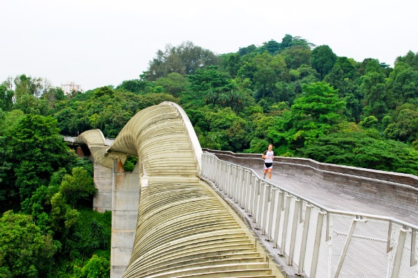 10 diem tham quan mien phi tuyet nhat Singapore hinh anh