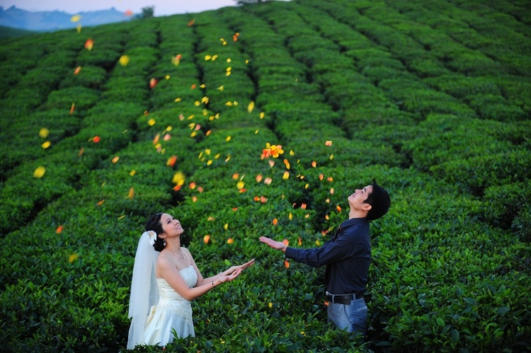 Nhung dia diem du lich Tet ly tuong cho vo chong moi cuoi hinh anh