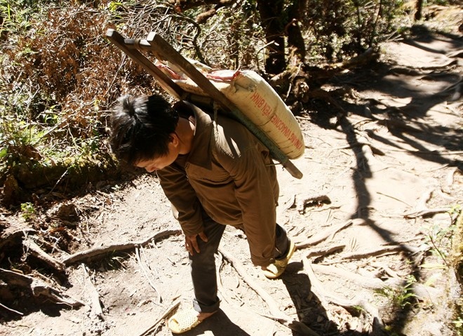 Để vận chuyện bao xi măng nặng 50kg từ Trạm Tôn lên đỉnh cao 2.800 m, nhà thầu trả cho người khuân vác số tiền 250.000 đồng.