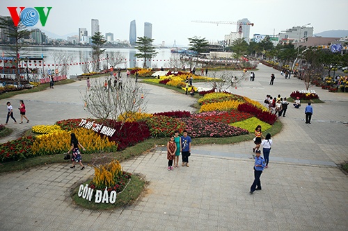 Chiem nguong ban do Viet Nam bang hoa lon nhat ben song Han hinh anh