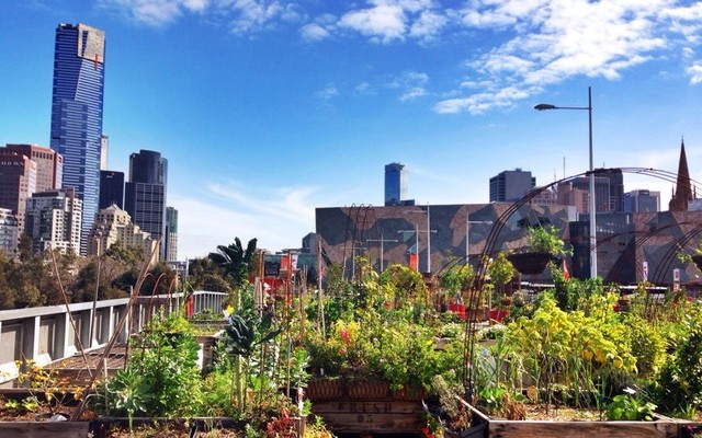 10. Melbourne: Giá phòng trung bình là 91 Bảng Anh (khoảng 2,98 triệu đồng), giảm 14% so với cùng kỳ năm ngoái.