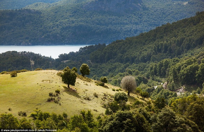 Ngọn đồi xanh tươi ở San Martin, Argentina.