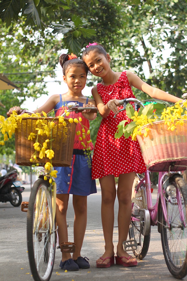 Tuy bò cạp vàng hoa có thể nở hoa quanh năm, nhưng mùa kết chùm đung đưa theo gió, ra hoa đồng loạt chính là vào tháng 3 và tháng 4. Khi mai vàng đã nở những bông hoa cuối cùng, cúc vàng, vạn thọ cũng đã khô cánh thì đó cũng là mùa bò cạp vàng khoe sắc.