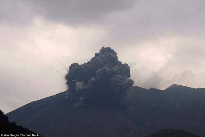 Marc cho biết thêm: