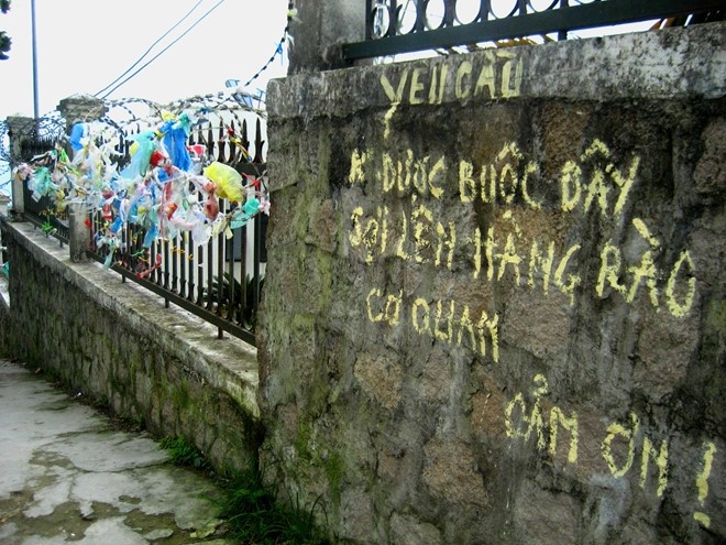 Những thân cây cũng bị du khách xả rác.