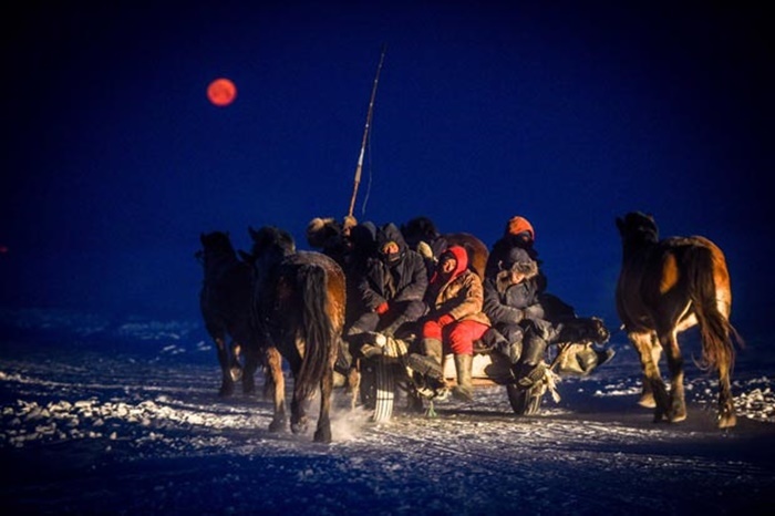 Ngư dân theo đàn ngựa đi săn cá từ sáng tinh mơ.