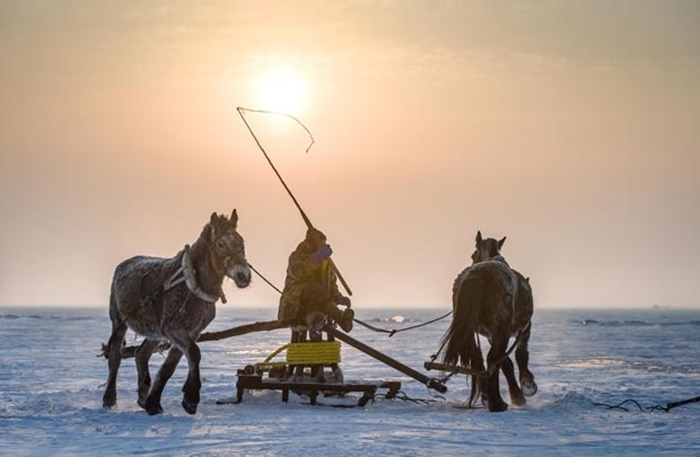 Quất ngựa chạy quang cột thu lưới.