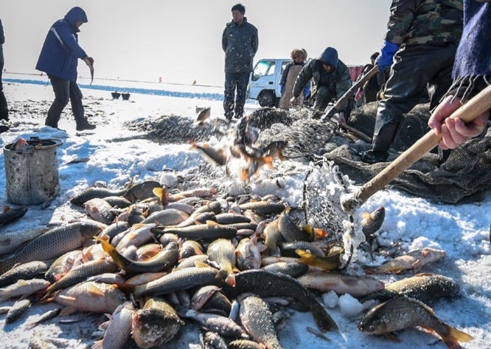 Bat ca tren mat ho dong bang o Trung Quoc hinh anh