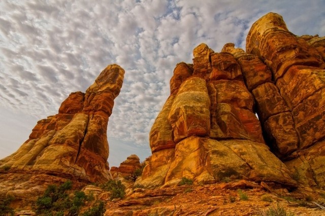 Những tháp đá nhọn nằm trong khu vực địa chất rộng lớn The Needles ở công viên quốc gia Canyonlands, bang Utah. Ảnh: Aaron Sauma.