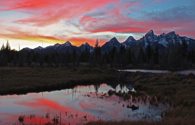 Schwabacher Landing, công viên quốc gia Grand Teton, bang Wyoming (Mỹ) - Ảnh: Christina Adele Warburg.