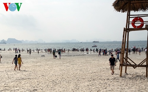 Quang Ninh dua bai tam nhan tao vao hoat dong hinh anh