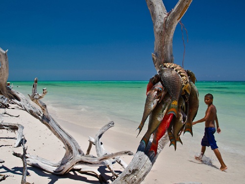 Các bãi biển ở Baracoa hoàn toàn tách biệt, mang lại cảm giác thư thái cho du khách tới thăm.