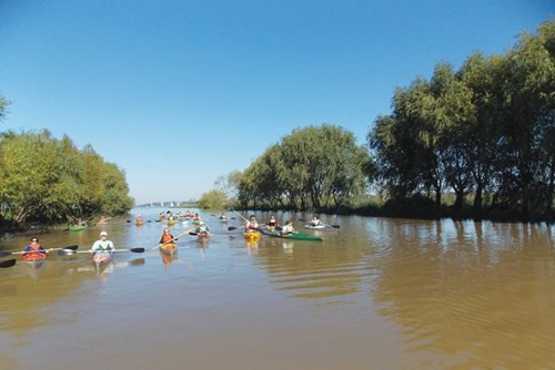 Mot ngay tren song nuoc Tigre hinh anh