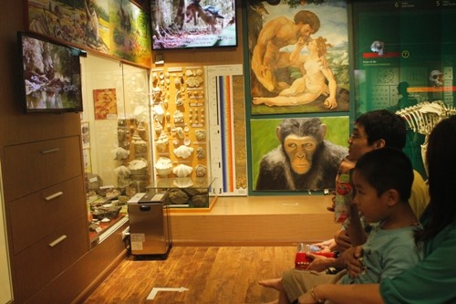 Nằm trong khuôn viên Viện Hàn lâm Khoa học và Công nghệ Việt Nam (18 Hoàng Quốc Việt, Cầu Giấy, Hà Nội) với diện tích nhỏ, nhưng từ vài năm nay, Bảo tàng Thiên nhiên đã trở thành điểm đến quen thuộc của nhiều học sinh, khách tham quan. Hơn 2.000 hiện vật được trưng bày theo chủ đề, về các loài động, thực vật qua các thời kỳ, giúp người xem có thể hình dung rõ sự phát triển của các giới tự nhiên.