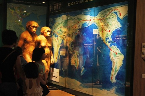 Học sinh nhiều trường đã coi Bảo tàng thiên nhiên là nơi để học các môn học như Sinh học...