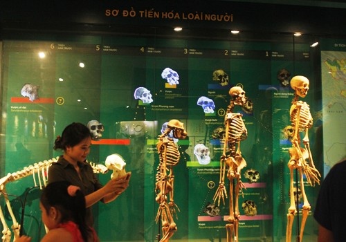 Kham pha thien nhien giua long Ha Noi hinh anh