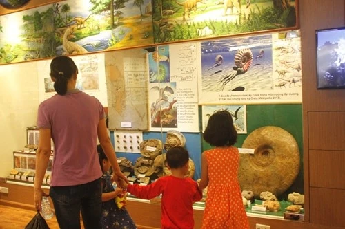 Nhiều mô hình như cây sinh giới, các loài động vật, thực vật, mô hình tiến hóa của loài người, cùng hệ thống phim 3D về vũ trụ, khủng long... Khách tham quan, đặc biệt là các em nhỏ được tận mắt chứng kiến, thậm chí sờ vào mẫu vật nên rất thích thú.