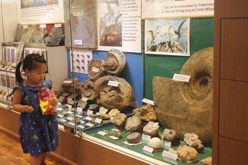 Khai trương vào giữa tháng 5/2014, đến hết năm 2014, Bảo tàng đã đón nhận khoảng 30.000 lượt khách tham quan. 