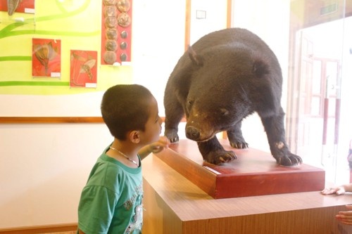 Hiện nay, bảo tàng mở cửa miễn phí cho toàn bộ khách tham quan. Vào thứ 3 - 4 trong tuần, Bảo tàng dành đón các nhà nghiên cứu, tập thể và cá nhân, các đoàn học sinh, sinh viên muốn tìm hiểu sâu, còn từ thứ 5 đến Chủ nhật đón khách tham quan.