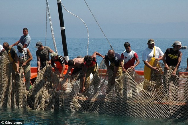 Những ngư dân ở trên thì hò reo cổ vũ.