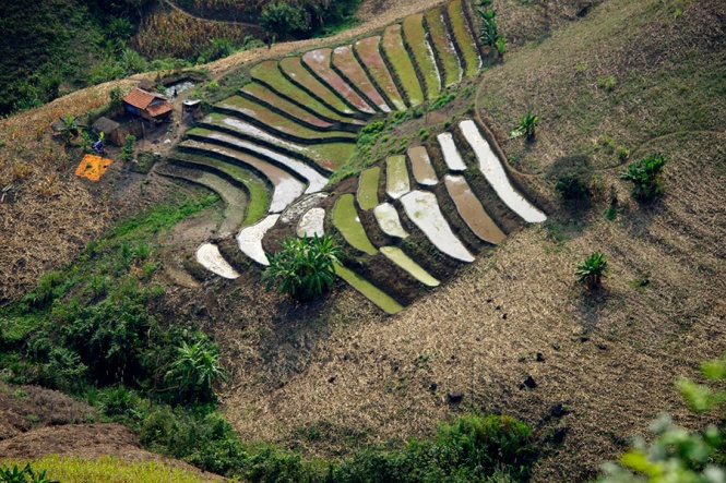 Trai nghiem cung duong moi den Moc Chau hinh anh