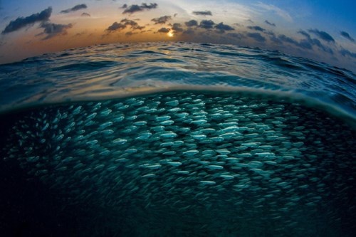 Dai duong huyen ao qua ong kinh cua nhiep anh gia Italy hinh anh