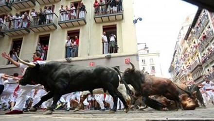 Du khach Phap bi bo huc chet hinh anh