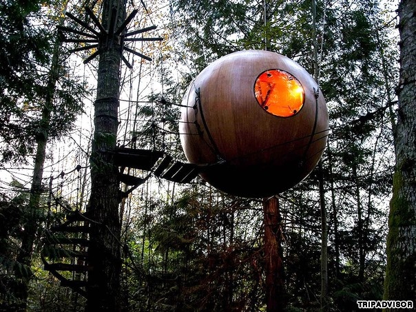 Khách sạn Free Spirit Spheres (Vancouver): Nằm trong khu rừng ven đảo Vancouver, Free Spirit Spheres là một ngôi nhà trên cây, được thiết kế để tạo cho du khách cảm giác mới lạ. Việc đi vào phòng chỉ có thể bằng lối đi qua các câu cầu và đi bộ lên cầu thang hình xoắn ốc.