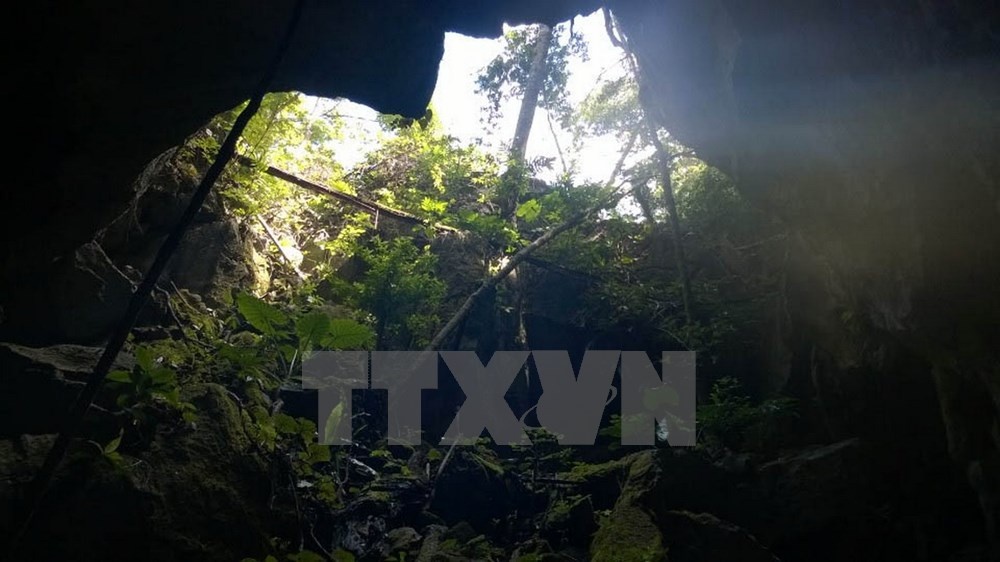 Ảnh cửa hang động mới phát hiện, do anh Nguyễn Văn Ninh chụp bằng điện thoại di động.