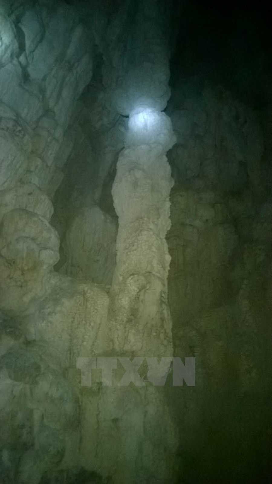 Hang động mới phát hiện nằm ở khu vực rừng Chà Nòi, xã Xuân Trạch, huyện Bố Trạch, cách đường Hồ Chí Minh khoảng 2 giờ đi bộ. 