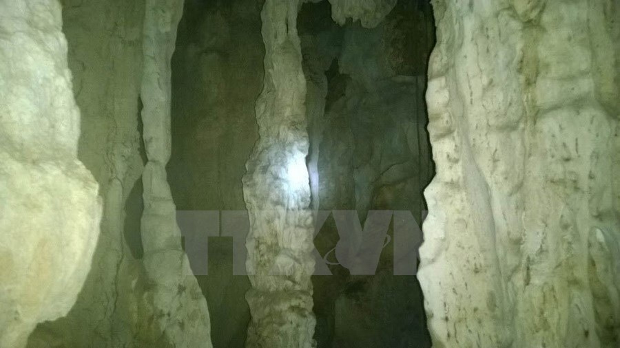 Theo mô tả của anh Ninh, cửa hang động cao khoảng hơn 2m, bề ngang khoảng gần 3m, trong lòng hang chia làm 3 khoang với nhiều khối thạch nhũ lớn và nguyên sơ. Hiện Ban quản lý Vườn Quốc gia Phong Nha-Kẻ Bàng đã giao Hạt kiểm lâm của Vườn tiến hành kiểm tra, xác minh thông tin mà anh Nguyễn Văn Ninh trình báo.