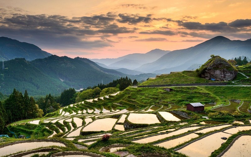 Mặc dù ruộng bậc thang phổ biến hơn ở các nước Đông Nam Á như Việt Nam hay Indonesia nhưng chúng cũng có ở Nhật Bản. Một chuyến đi tới làng quê, đạp xe hay đi bộ qua các ruộng lúa đều rất tuyệt. Mùa thu cũng là mùa thu hoạch với những bông lúa chín vàng. Vào mùa hè, những bông lúa xanh tươi, mùa đông thường bị tuyết bao phủ và mùa xuân là thời điểm mà cả cánh đồng ngập trong nước.