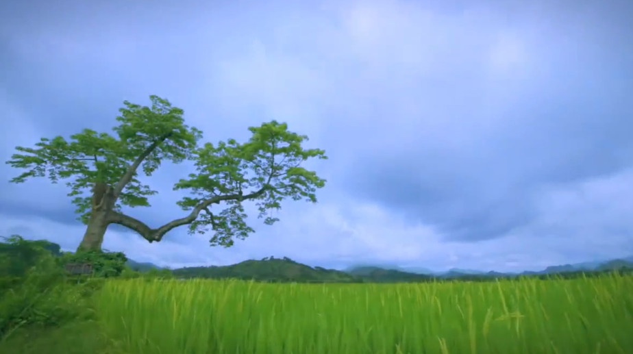 Viet Nam tuyet dep tren kenh truyen hinh nuoc Anh hinh anh