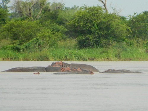 Là quốc gia không giáp biển nhưng Niger cũng có nguồn nước dồi dào cho sinh hoạt và  chăn nuôi. Thời tiết ở Agadez nóng rát, nhiệt độ trung bình khoảng 37 đến 41 độ C, gió thổi mạnh kèm theo bụi bay mịt mù bao trùm lên toàn bộ không gian. 