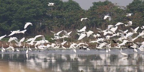 Ve mien Tay ngam 'nu hoang chan dai' hinh anh