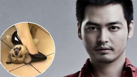 MC Phan Anh buc xuc vu 'giam dap thu vat den chet' hinh anh