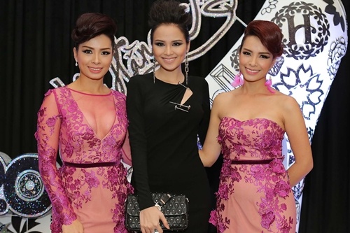Dan sao Viet chuc mung cap song sinh Thuy Hang - Thuy Hanh hinh anh