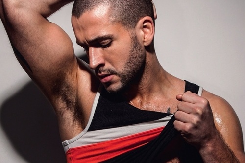 Quan quan The X Factor Shayne Ward den Viet Nam hinh anh