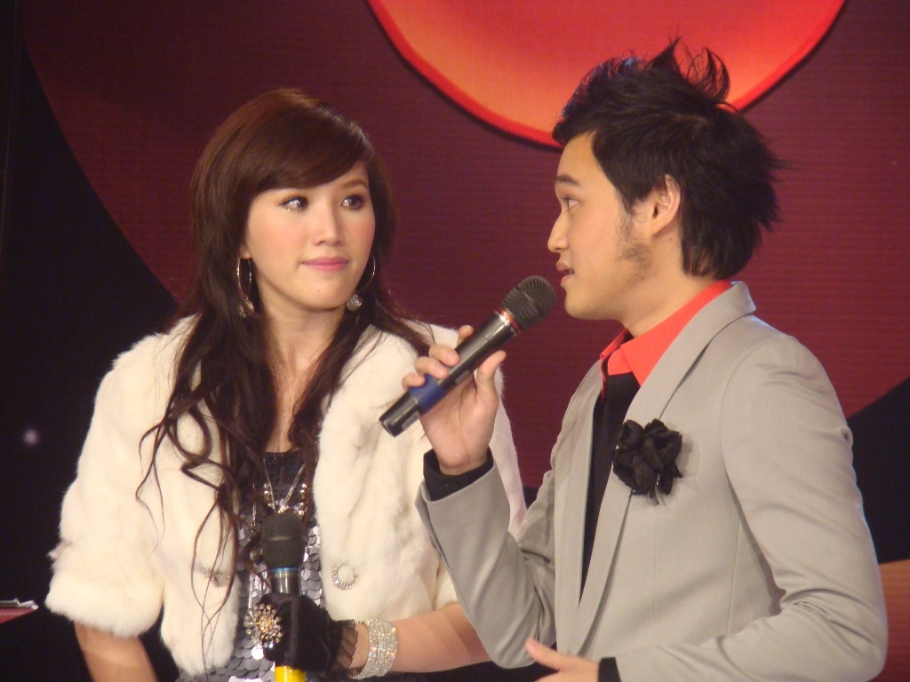 Năm 2008, Quang Vinh và Bảo Thy bắt tay kết hợp rất thành công với Ngôi nhà hoa hồng, Vẫn tin mình có nhau..., tuy nhiên sau đó họ cũng không có nhiều dịp để cùng hợp tác.  Mấy năm gần đây, Quang Vinh không còn hoạt động âm nhạc sôi nổi. Anh dần ít cho ra sản phẩm âm nhạc và chạy show đi diễn như các ca sĩ cùng thế hệ với mình. Vài lần hiếm hoi tham gia các chương trình lớn, Quang Vinh vẫn giữ được nét đẹp thư sinh ngày nào, nhưng đã chững chạc và nam tính hơn rất nhiều. Nam ca sĩ điển trai ngày nào dường như bỏ mặc ngoài tai những diễn biến của showbiz cũng như không phát hành thêm sản phẩm, xuất hiện ở các sự kiện. 