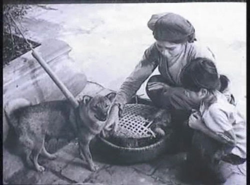 Những hình ảnh rơi nước mắt trong phim Chị Dậu.