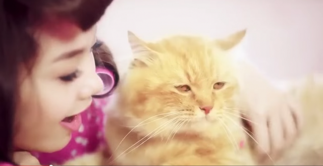 Sac Moi Em Hong - Minh Hang hinh anh