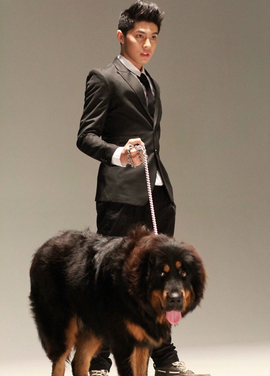 Nhập mô tả chfo ảnh