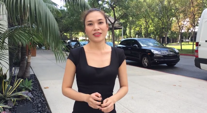 My Tam lam clip xin loi khan gia Viet kieu vi mat giay to hinh anh