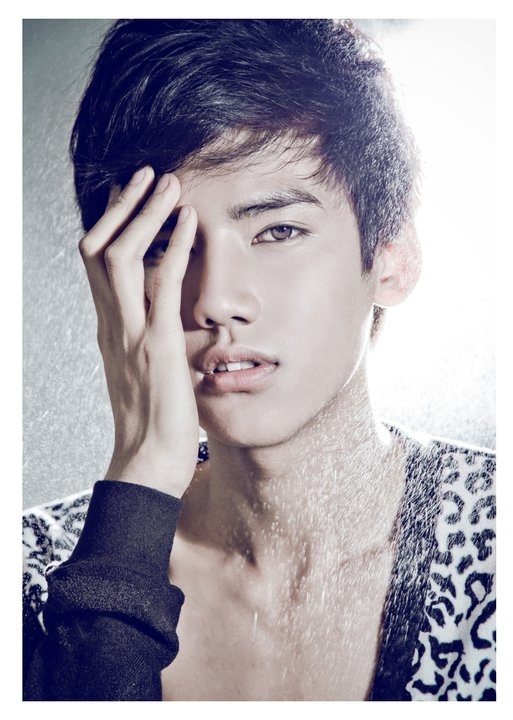  Sau khi rời Vietnam Idol, Đăng Khoa trở thành cái tên khá đắt show đi event nhưng anh chàng không ít lần tiết lộ chưa có ý định làm ca sĩ chuyên nghiệp. Từng làm VJ cho kênh MTV Việt Nam trong một thời gian dài và cũng thử sức làm diễn viên ở một vài bộ phim ngắn, hiện tại, Đăng Khoa đang tiếp tục hoàn tất việc học ở Mỹ.